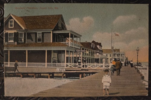 Postcard the maryland - postcard,